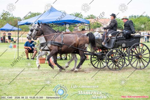 Mintakép 20260822-354
