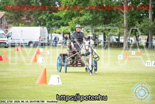 Mintakép 20260614-820