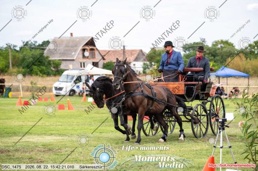 Mintakép 20260822-437