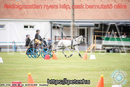 Mintakép 20260614-825