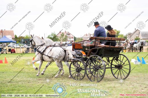 Mintakép 20260822-510