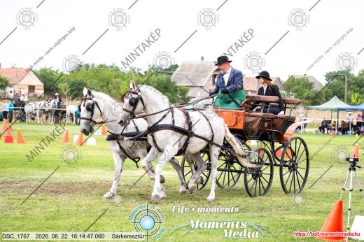 Mintakép 20260822-515