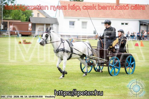 Mintakép 20260614-832