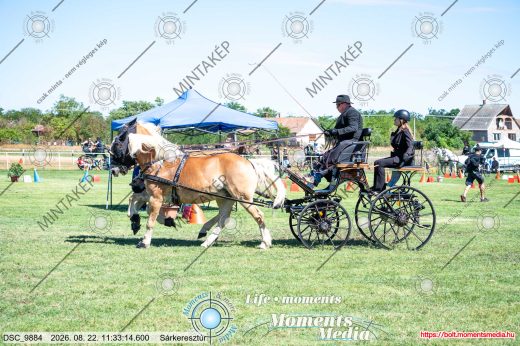 Mintakép 20260822-577