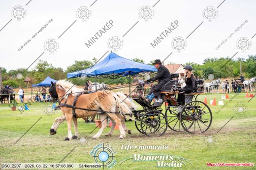 Mintakép 20260822-587
