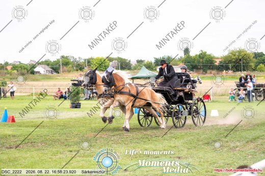 Mintakép 20260822-597