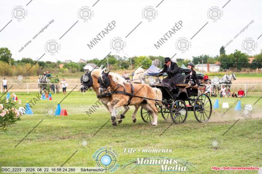 Mintakép 20260822-598