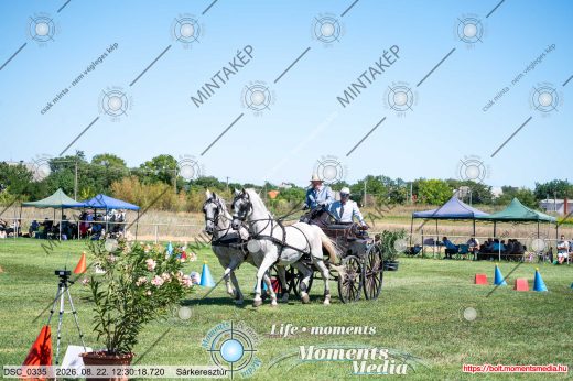 20260822-123018-DSC_0335.jpg
