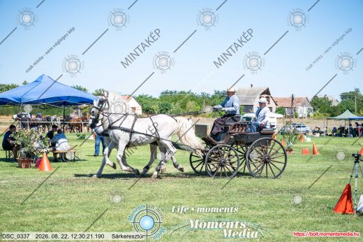 20260822-123021-DSC_0337.jpg