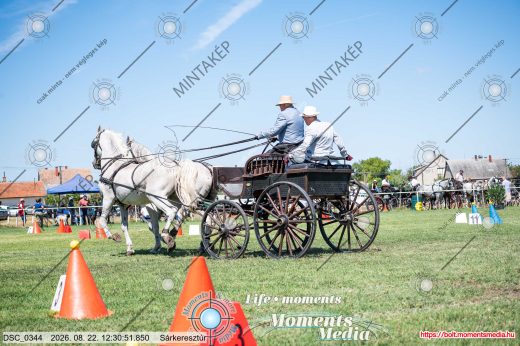 Mintakép 20260822-637