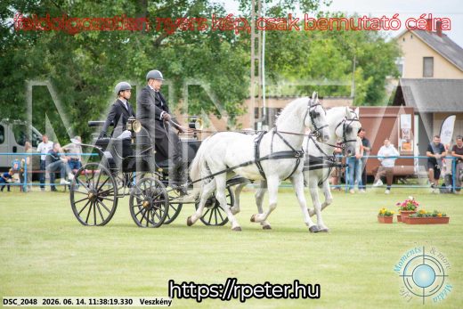 Mintakép 20260614-4
