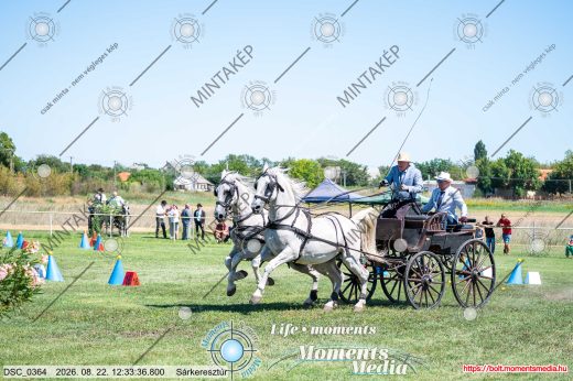 Mintakép 20260822-648