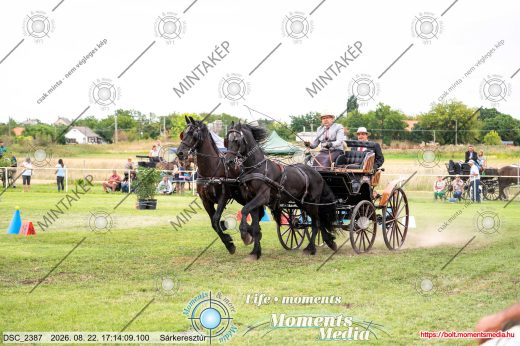 Mintakép 20260822-700