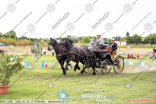 Mintakép 20260822-701