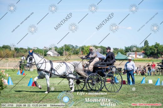 Mintakép 20260822-708