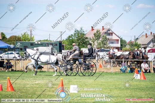 Mintakép 20260822-722