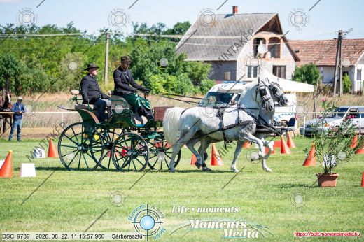 20260822-111557-DSC_9739.jpg