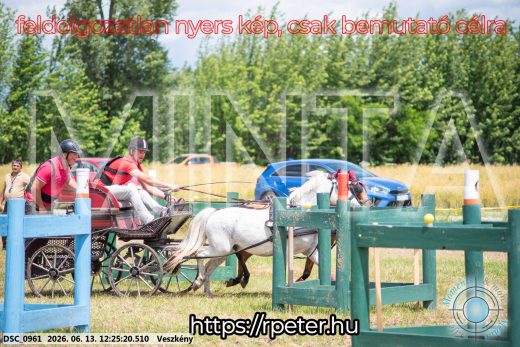 Mintakép 20260613-1702