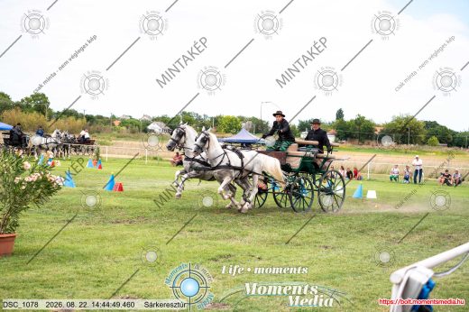 Mintakép 20260822-787