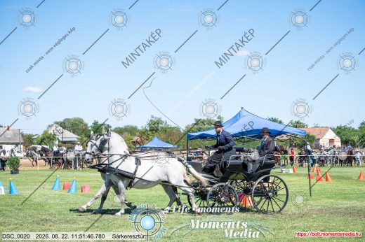 Mintakép 20260822-817