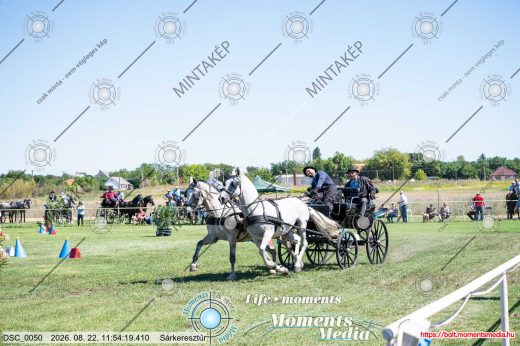 Mintakép 20260822-829