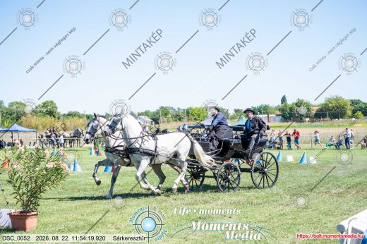 Mintakép 20260822-831