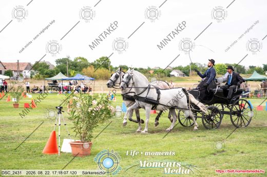 Mintakép 20260822-859