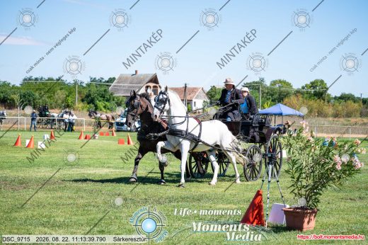 Mintakép 20260822-903