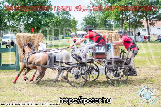 Mintakép 20260613-1714