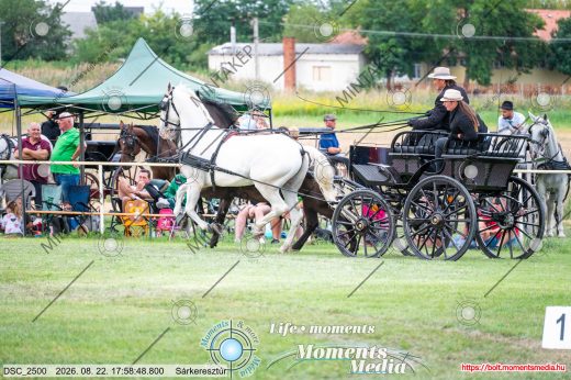 Mintakép 20260822-941