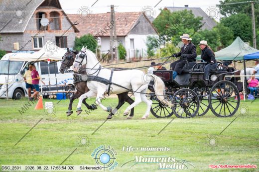 Mintakép 20260822-942