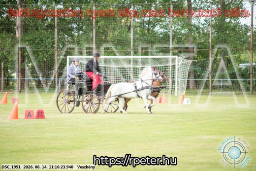 Mintakép 20260614-840