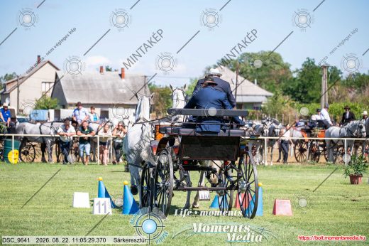Mintakép 20260822-1031