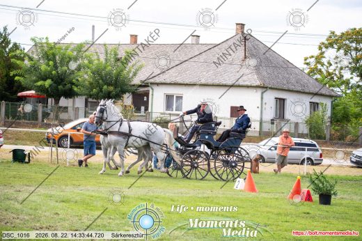 Mintakép 20260822-1038