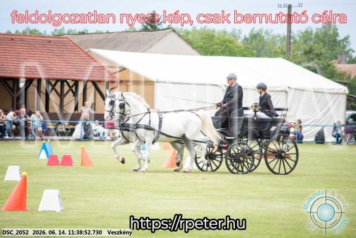 Mintakép 20260614-8
