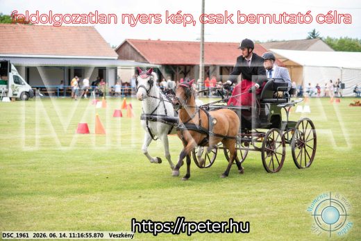 Mintakép 20260614-845