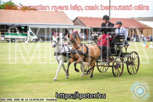 Mintakép 20260614-846