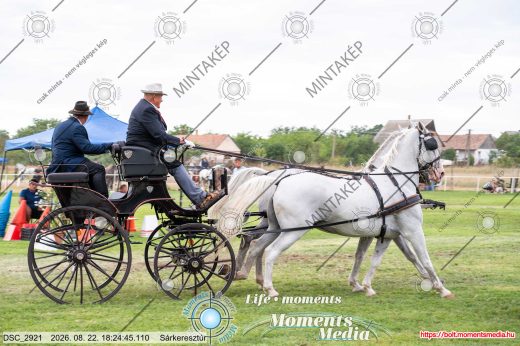 Mintakép 20260822-1058