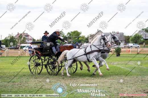 Mintakép 20260822-1078