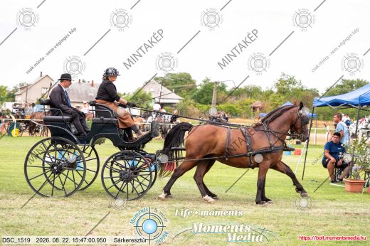 Mintakép 20260822-1112