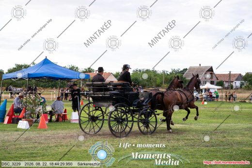 Mintakép 20260822-1137