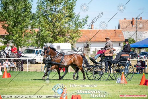 20260822-101718-DSC_9231.jpg