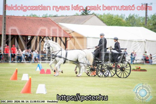Mintakép 20260614-9