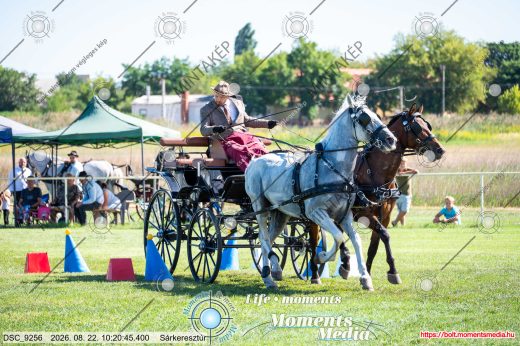 Mintakép 20260822-1152