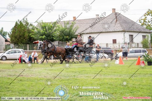 Mintakép 20260822-1157