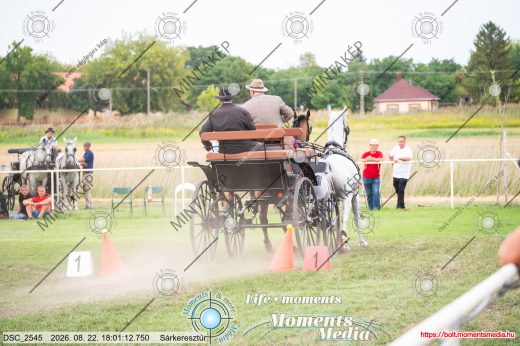 Mintakép 20260822-1177