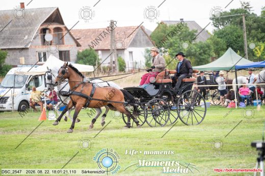 Mintakép 20260822-1179