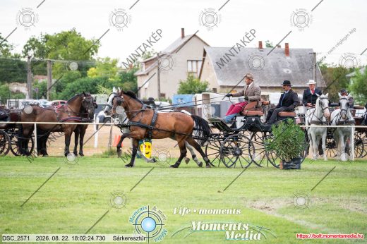 Mintakép 20260822-1195