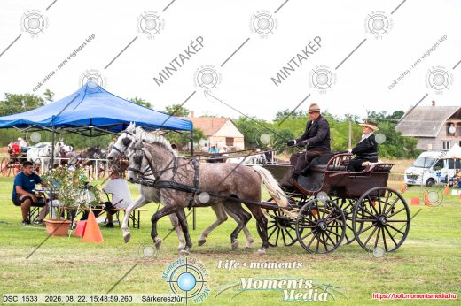 Mintakép 20260822-1220
