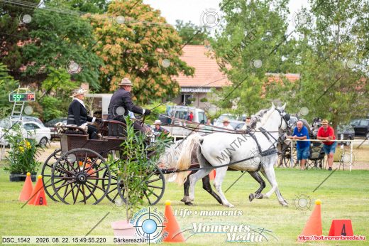 Mintakép 20260822-1227